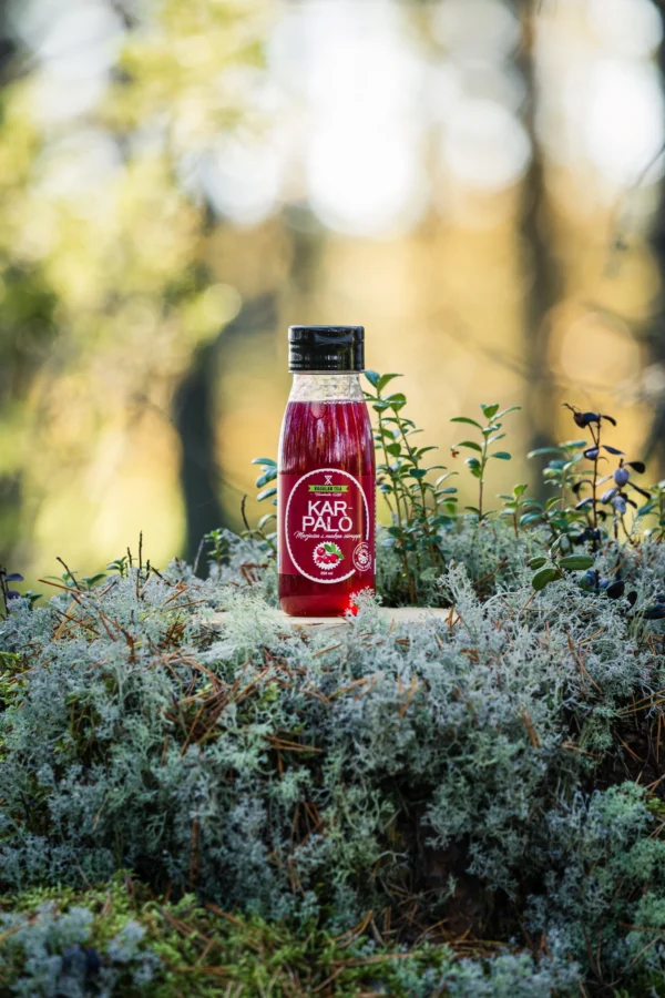 Cranberry syrup 250ml