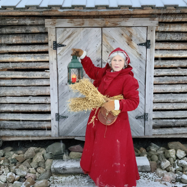 Luovon LUMOUS - Joulumuorin tapaaminen