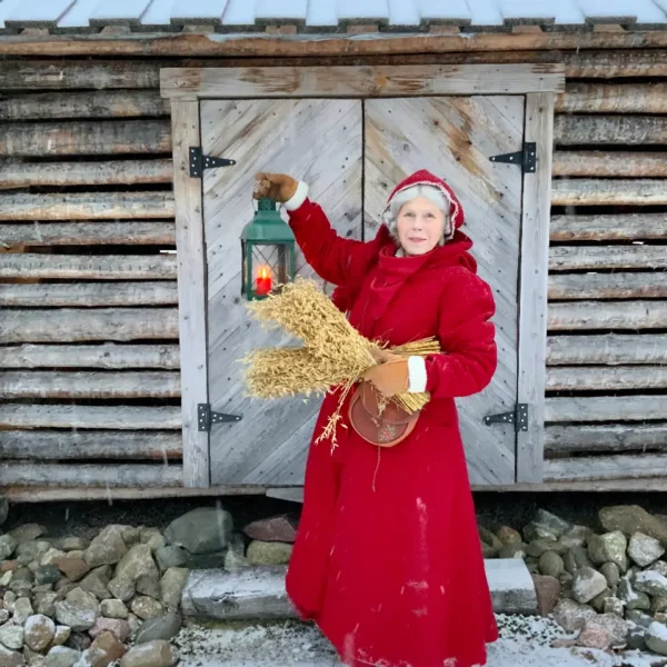 Luovon LUMOUS - Joulumuorin tapaaminen